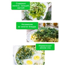 Семена Укроп "Кибрай", 1 г