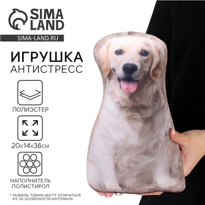 Антистресс игрушка, собака «Лабрадор»
