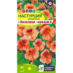 Настурция Лососевая малышка (Алтай)