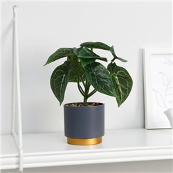 Искусственный цветок в горшке «Алоказия галант», 7.5×15 см