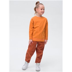 GFJ3319 (Джемпер для девочки, Pelican )