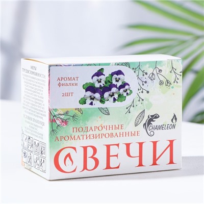 Набор свечей-столбиков 2 шт., 4×6 см, фиалка