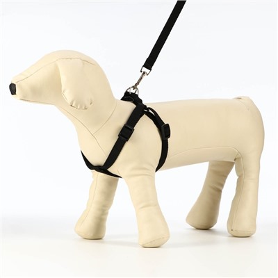 Шлейка с поводком «Базис», 32-46×1.5 с, поводок 120×1.5 см, чёрная