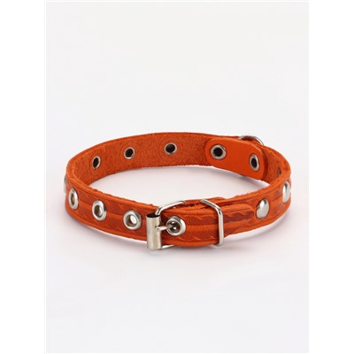 Ошейник, 29×1.2 см, ОШ 18-25 см, однослойный, украшенный, кожа, цвет МИКС