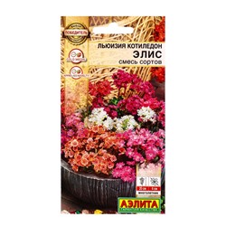 Семена цветов Льюизия котиледон Элис, смесь сортов  Победитель.Выбор экспертов, Ц/П,5 шт.