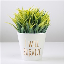 Кашпо для цветов «Я выживу», 800 мл, d=12 см, h=11 см, пластиковое