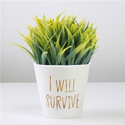 Кашпо для цветов «Я выживу», 800 мл, d=12 см, h=11 см, пластиковое