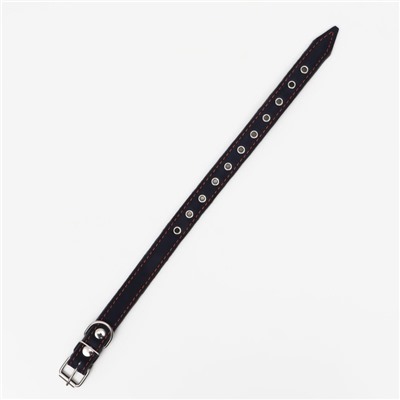 Ошейник комбинированный, безразмерный, 54×2.5 см, ОШ 17-45 см, кожа, брезент, синий