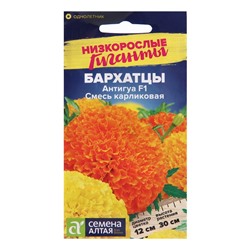 Семена цветов Бархатцы Антигуа, смесь карликовая, Сем. Алт, ц/п, 5 шт.