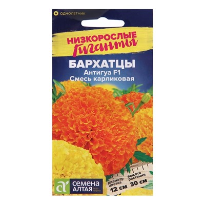 Семена цветов Бархатцы Антигуа, смесь карликовая, Сем. Алт, ц/п, 5 шт