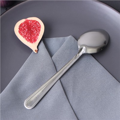 Набор столовых ложек из нержавеющей стали «Ванесса», длина 19 см, 12 шт.