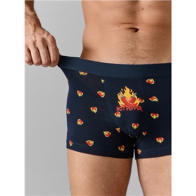 ТРУСЫ МУЖСКИЕ (2ШТ) 411228-2