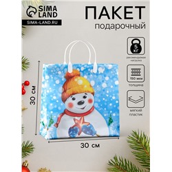 Пакет подарочный новогодний «Снежный друг», мягкий пластик, 30×30 см