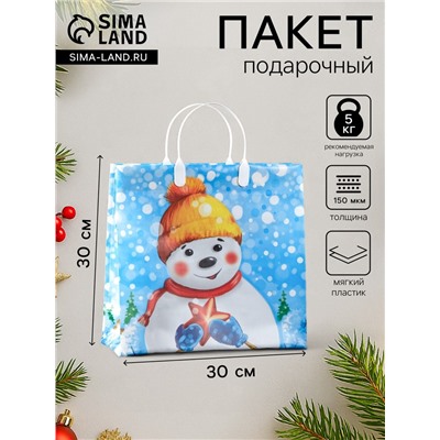 Пакет подарочный новогодний «Снежный друг», мягкий пластик, 30×30 см