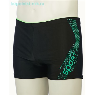 4504 Шорты купальные мужские (46-54)