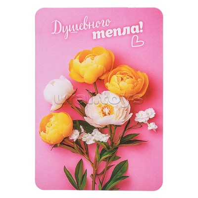 Набор мини-открыток "Прекрасные цветы"