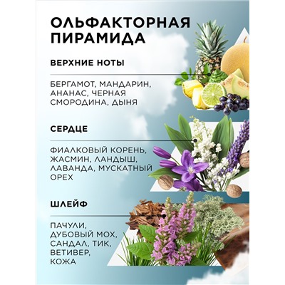 Туалетная вода для мужчин 8 Element