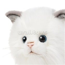 Котик Турецкая Ангора, 25 см
