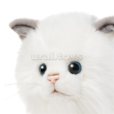 Котик Турецкая Ангора, 25 см