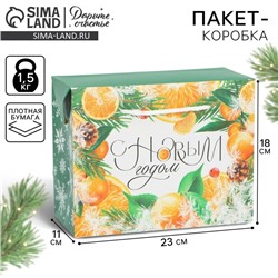 Пакет-коробка подарочный новогодний «С Новым годом», 23×18×11 см