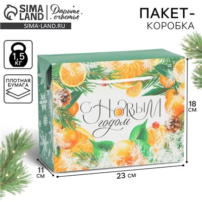 Пакет-коробка подарочный новогодний «С Новым годом», 23×18×11 см