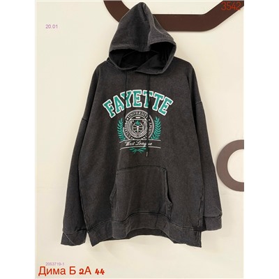 Толстовка бронь 2053719-1