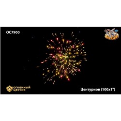Фейерверк ОС7901 Центурион (1,1" х 99)
