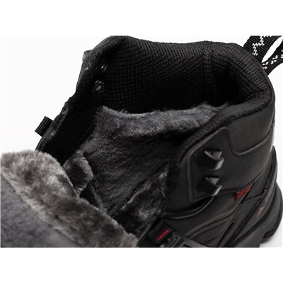 Зимние Ботинки Adidas Terrex Winter