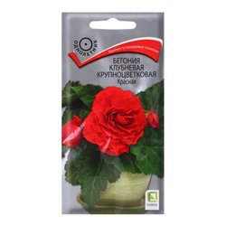 Семена цветов Бегония клубневая крупноцветковая, красная, 5 шт., «Поиск»