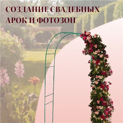 Арка садовая, 240×120×36.5 см, для вьющихся растений, металлическая, зелёная, «Веточка», Greengo