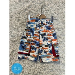 Шорты #22434779