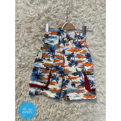 Шорты #22434779