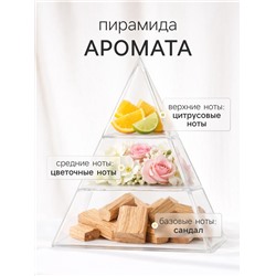 Диффузор ароматический с палочками XO The Harmony, 200 мл