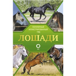 АСТ Анна Спектор "Лошади. Иллюстрированный гид"