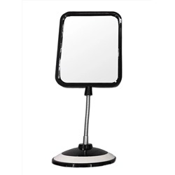 Rama Rose Настольное косметическое двустороннее зеркало с 5X увеличением на гибкой ножке 468, в ассортименте 27972