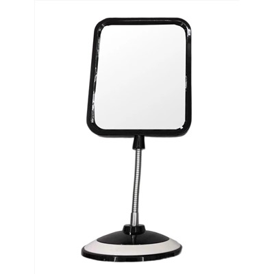 Rama Rose Настольное косметическое двустороннее зеркало с 5X увеличением на гибкой ножке 468, в ассортименте 27972