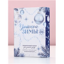 Новогодний подарочный набор косметики «Уютной зимы»: гель для душа и шампунь для волос, 2×250 мл, Чистое счастье