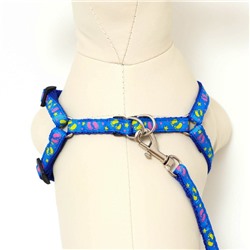 Комплект «Цветные следы», ширина 1 см, поводок 120 см, шлейка 23-35 см, синий