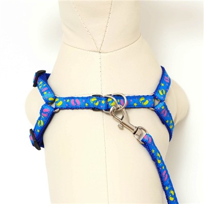 Комплект «Цветные следы», ширина 1 см, поводок 120 см, шлейка 23-35 см, синий