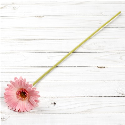 Цветок искусственный Гербера 43 см розовый / 1501 /уп 56/560/ латэкс