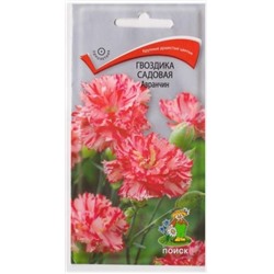 Гвоздика Садовая Авранчин (Код: 69544)