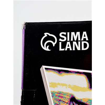 УЦЕНКА Алмазная мозаика по фото, на раме 40×50, полное заполнение, Pop Art