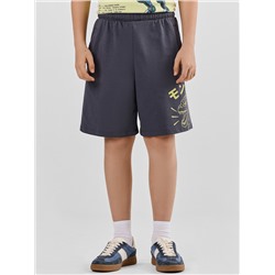 ШОРТЫ ДЛЯ МАЛЬЧИКОВ 133350