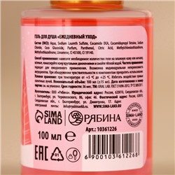 Подарочный набор новогодний URAL LAB «Рождественская почта»: гель для душа 100 мл и мист для тела 88 мл