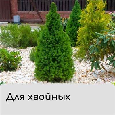 Чехол для растений, прямоугольный на молнии, 160 × 120 см, спанбонд с УФ-стабилизатором, плотность 60 г/м², цвет МИКС