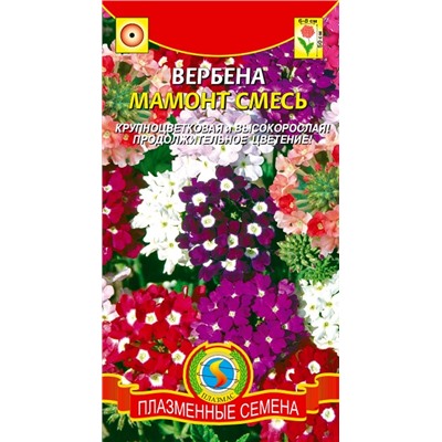 Вербена Мамонт смесь (Код: 93041)