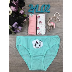 Детский набор трусов " Тройка "