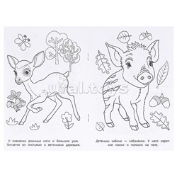 Лесные животные. Раскраска.