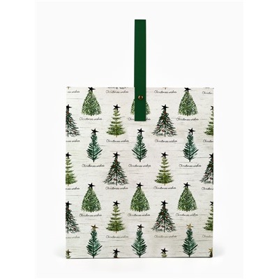 Пакет подарочный новогодний ламинированный «Новогодняя звезда», M 30×26×9 см