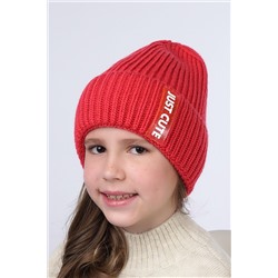 Шапка CLEVER, 799307